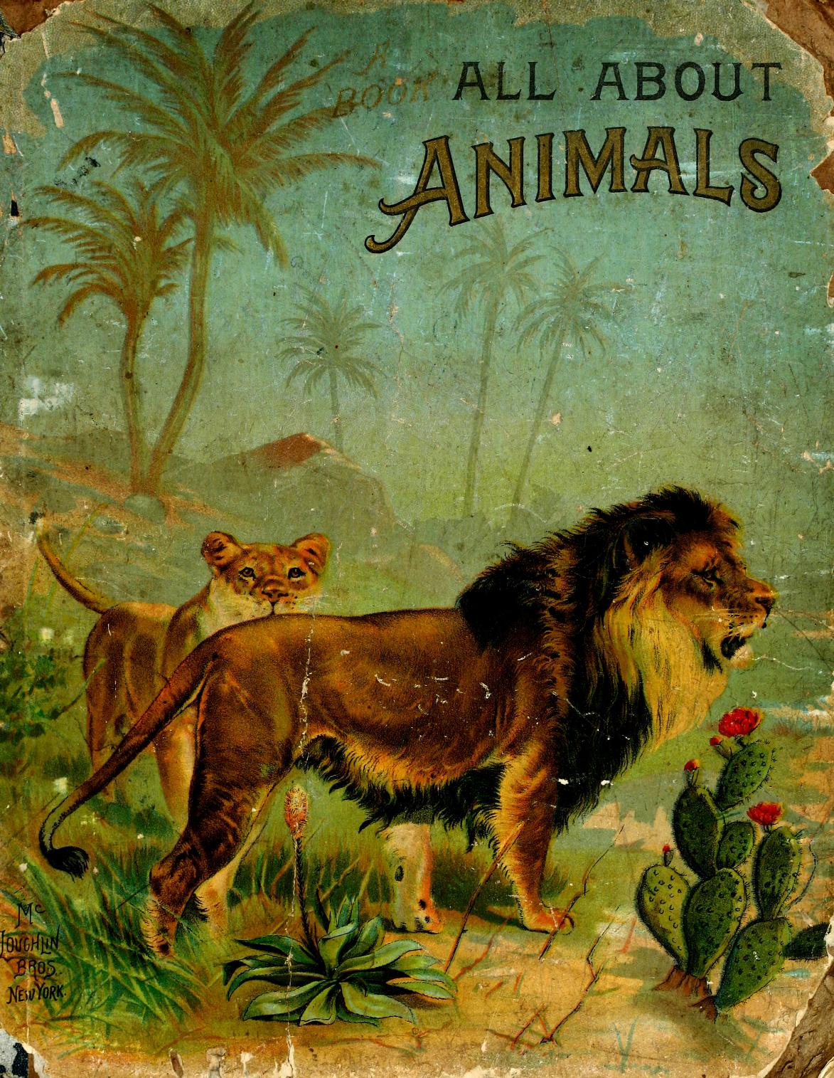 All about animals. Facts, stories and anecdotes : Free Download, Borrow,  and Streaming : Internet Archive
